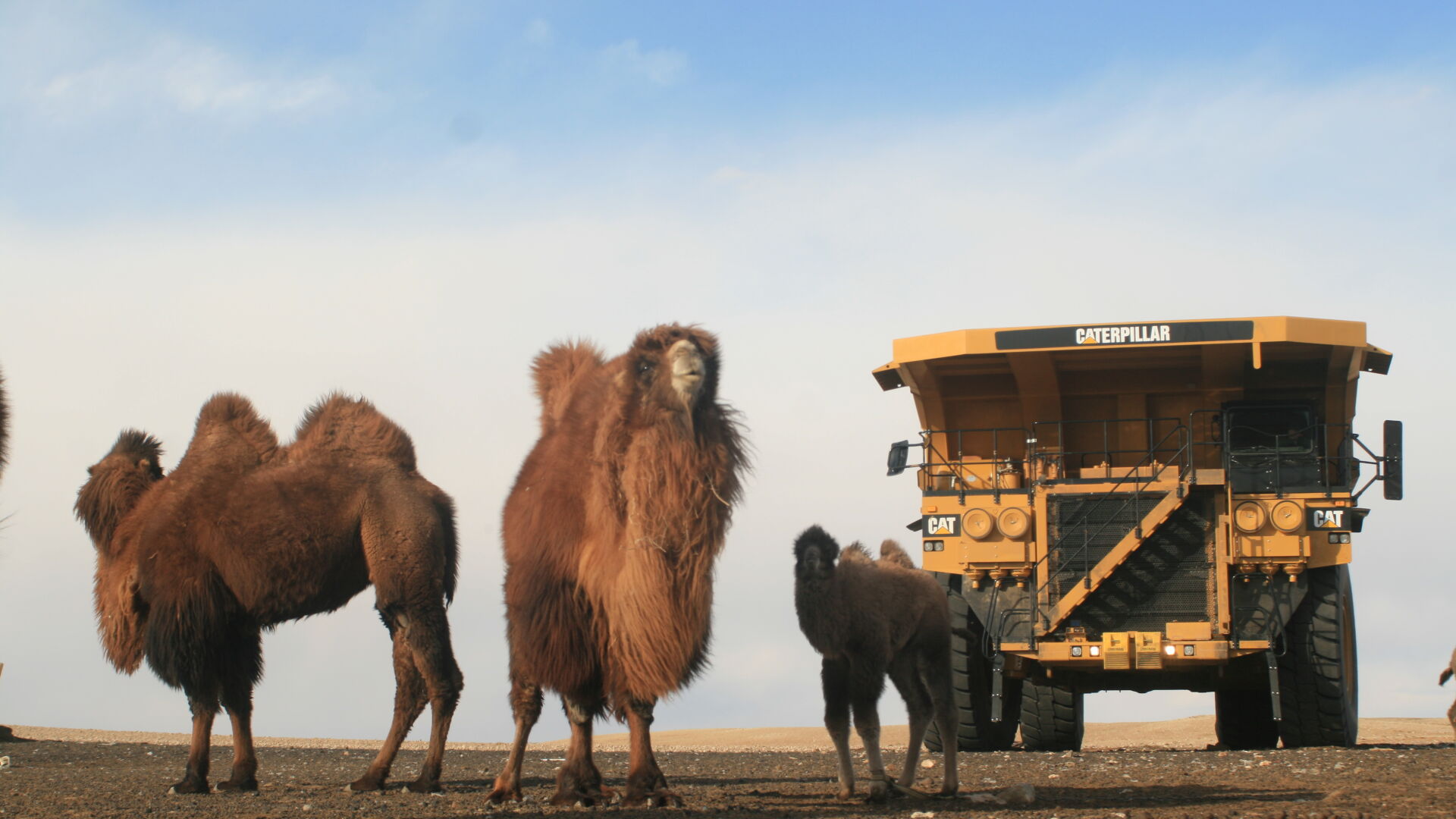 Mongolia